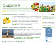 Tablet Screenshot of ddiyet.com